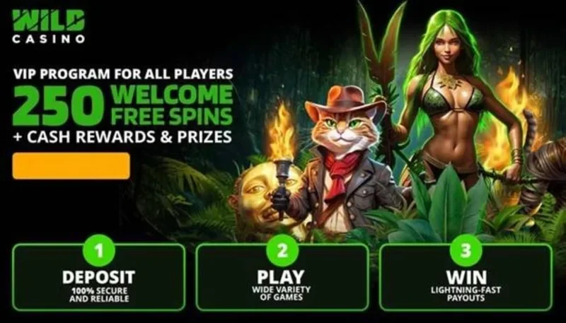 Mega Ace Slot: Upgraded Card Multipliers & Wild Mechanics