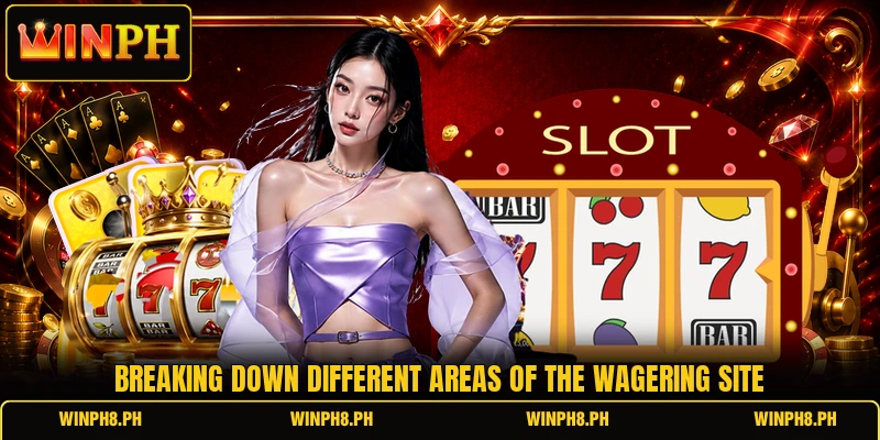Breaking down different areas of the wagering site Breaking down different areas of the wagering site