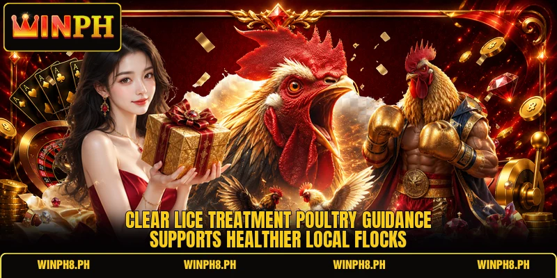 Clear lice treatment poultry guidance supports healthier local flocks Clear lice treatment poultry guidance supports healthier local flocks