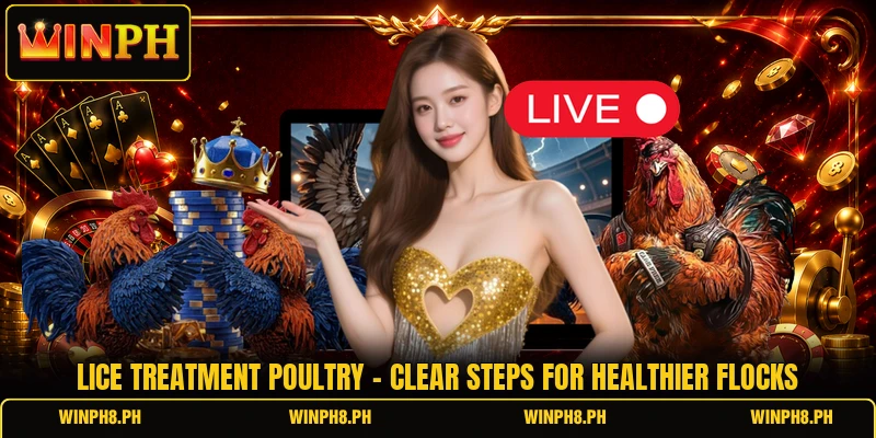 Lice Treatment Poultry - Clear Steps For Healthier Flocks