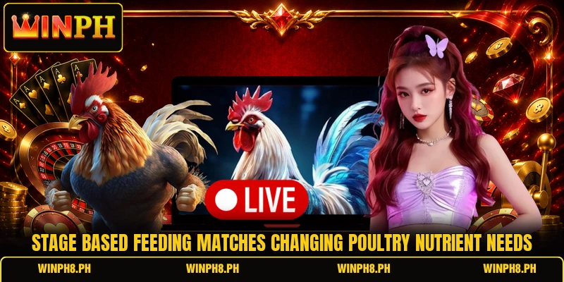 Stage based feeding matches changing poultry nutrient needs Stage based feeding matches changing poultry nutrient needs